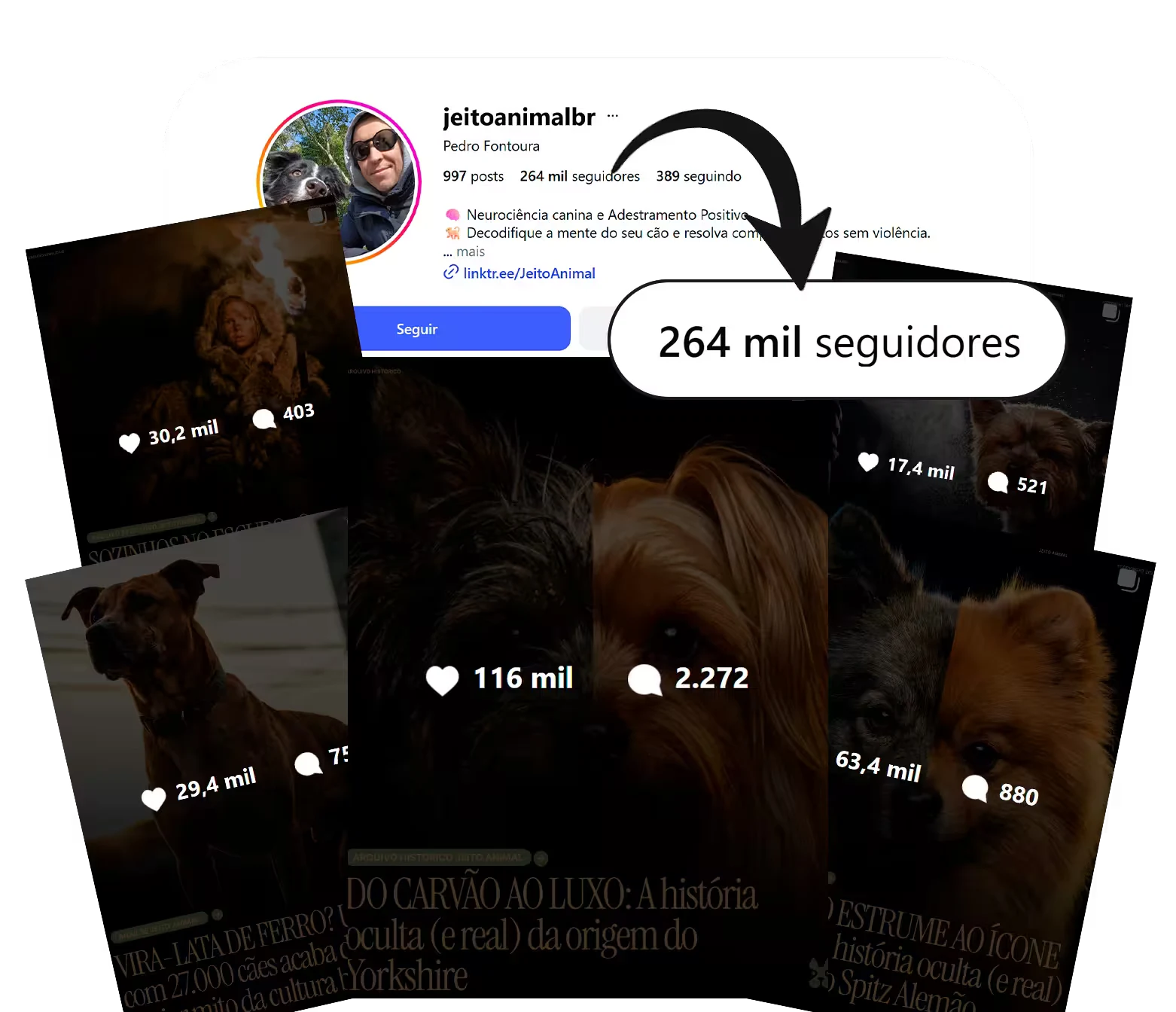Jeito Animal viralizou com carrosséis